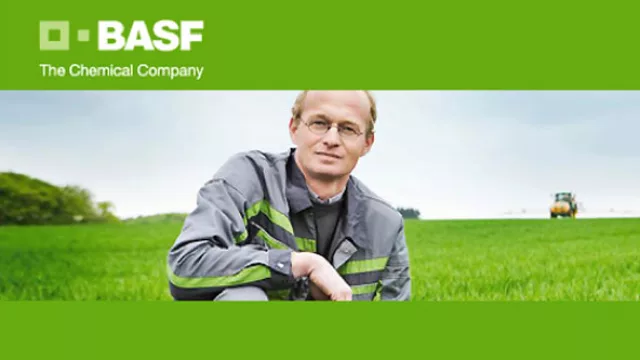 Basf desembarcó en UY y para 2016 llenará 5 pisos de la Torre 4 de WTC