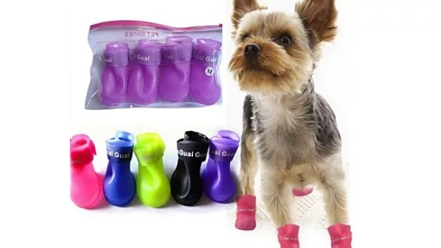 Qué el Bobby no se moje los pies.