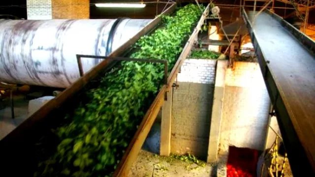 Cambios en la ley antipeperina (COR, beneficiada)