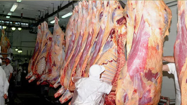 Paraguay desplaza a Uruguay y ocupa sexto lugar en volumen de exportación de carne
