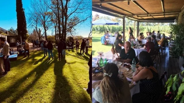 Si te gusta el vino, subí que te llevo (Winebus ya trasladó a 1.000 personas)