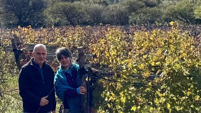 Vinos, gastronomía y paisaje serrano: conocé cómo es la experiencia enogastronómica de Aráoz de Lamadrid