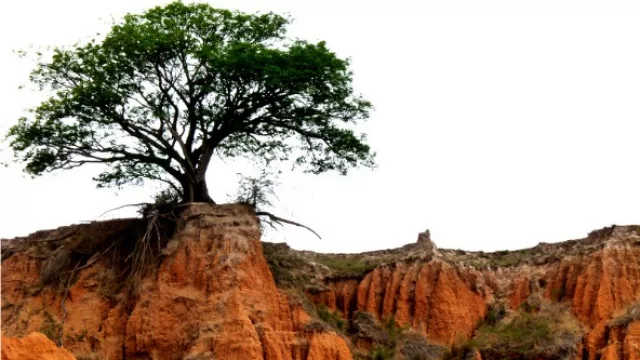 2do. puesto: Carlos Luna (Córdoba)