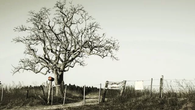 3er. puesto: Arturo Rex (Montevideo)