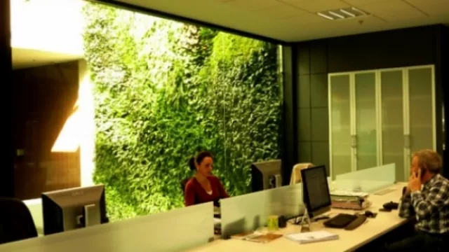 Cordobesa tapiza de verde el interior (arma en Rosario el jardín vertical más grande del país)