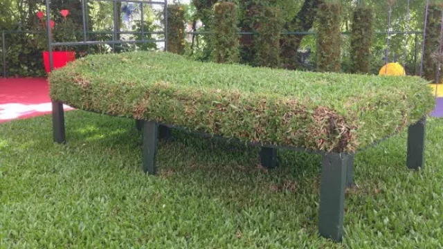 Una cama de césped de Aysa.