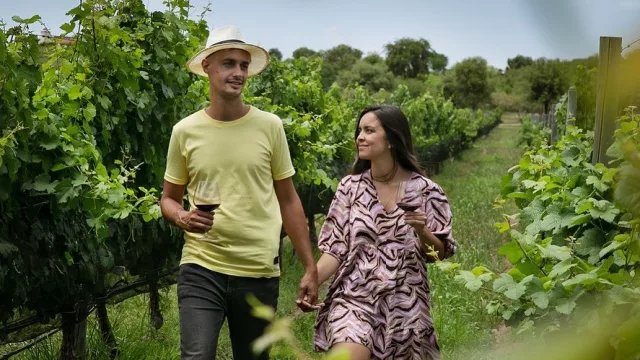 ¿Te animás a un Wine Tour por Traslasierra? (visitas, degustaciones y sunset)