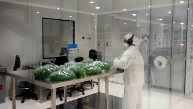 Desde que se producen en El Tío, las ventas de cápsulas de Fabogesic creció 40%.