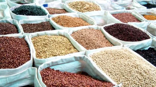 Basf hace lo que Monsanto no puede: invierte US$ 2,5 M en centros de semillas en Córdoba