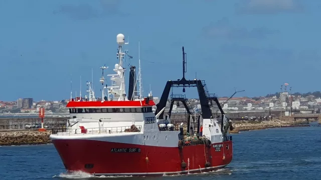 Newsan sigue diversificando sus negocios: compró Glaciar Pesquera (y ya exporta pesca a más de 70 países)