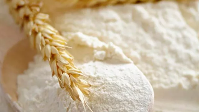 Enrique Remmele S.A invertirá US$ 18 millones para crecer en cantidad y variedad