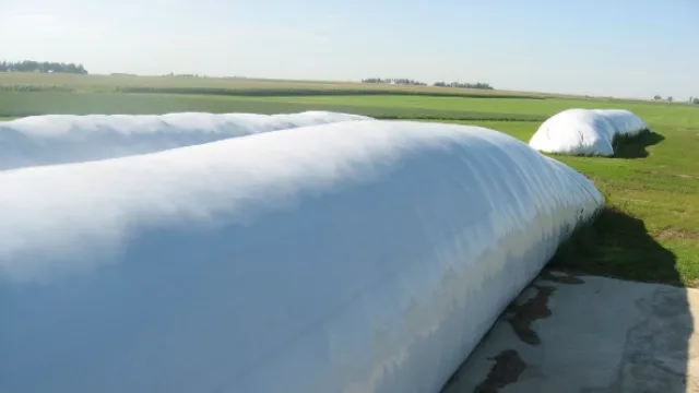 Las 11 M de tn. de soja, el pulmotor que daría aire a CFK (en los silo-bolsas hay US$ 10.000 M)