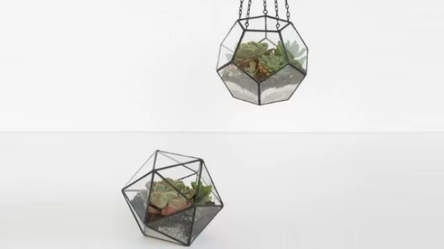 Terrarios para colgar o tener en la mesa. Aquí vuelve a aparecer el hierro industrial. 