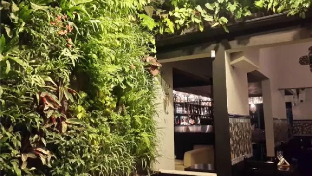 Sobre Sha, un clásico que se renueva en Alta Córdoba