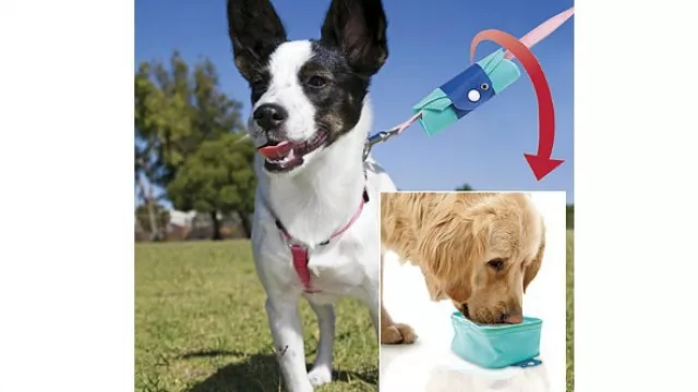 También existe el bebedero portátil para adherir a la correa.