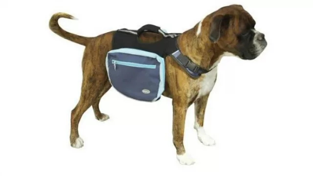 Una mochila para perros para que pongas el kit necesario para sacarte de apuros.