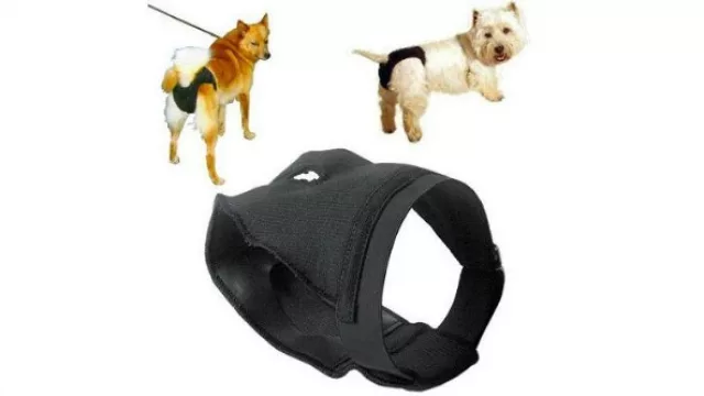 Aunque no lo crean, una suerte se cinto de castidad para cuando el animal está en celo.