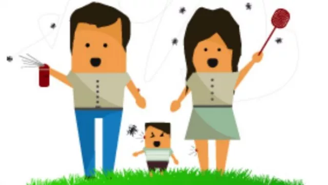 Cómo actuar ante la picadura de un insecto