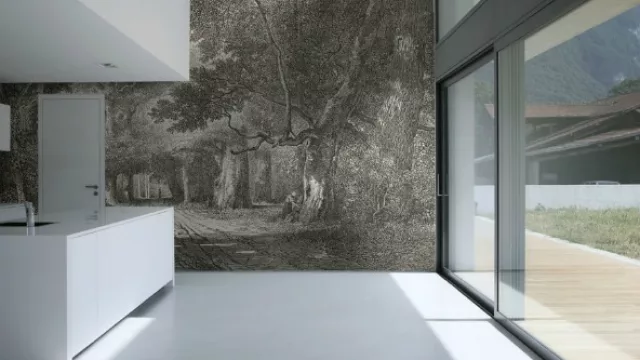 En blanco y negro, una campiña… ¿por qué no?