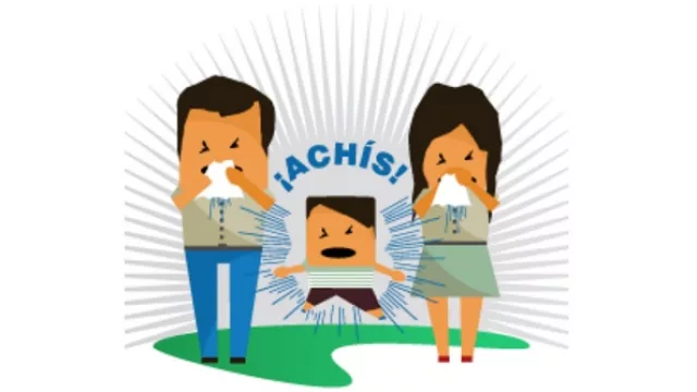 Alergias en primavera: ¿cómo influye el polen?