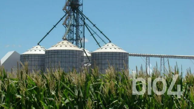 Socios de Bio4 invertirán US$ 4 millones en una planta de bioenergía (sacándole el jugo al maíz)