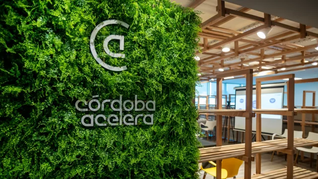 ¿Dónde conviene abrir un negocio en Córdoba? Los datos que más consultan los emprendedores para decidir una inversión