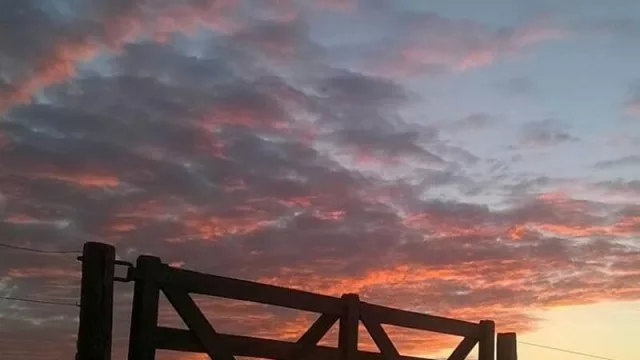 70% de probabilidades que sea Niña (por qué es un “mal pronóstico” para el campo y la Argentina)