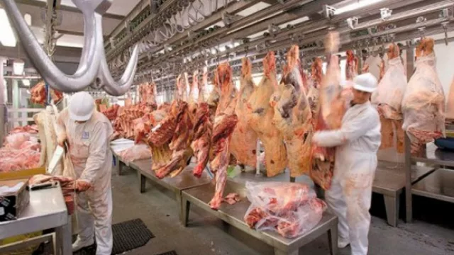 “La realidad ganadera es de sobrevivencia, pero en 2016 el negocio volverá a tener rentabilidad”