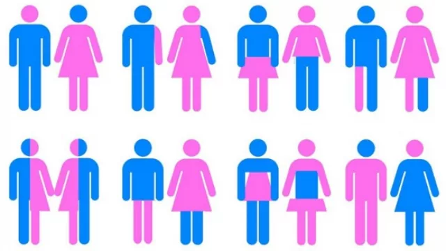 Las 54 opciones de preferencia sexual no son suficientes, dice