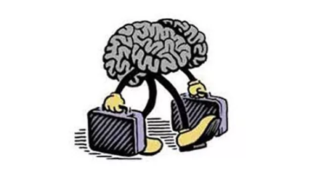 Fuga de cerebros, un dolor de cabeza: un programa para atraer proyectos