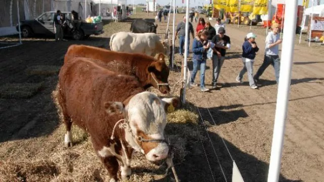 Cordobeses, a un paso de exportar genética bovina a China y Rusia