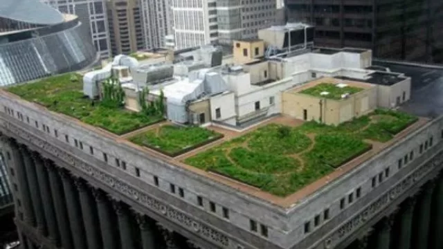 Riutort pide rebaja impositiva de hasta 15% a quien construya “techos verdes”