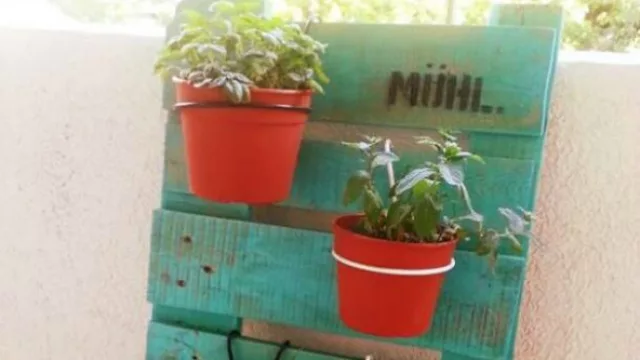 Incluso un macetero. 