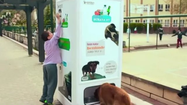 Dime cuánto reciclas y te diré cuántos perros callejeros alimentas