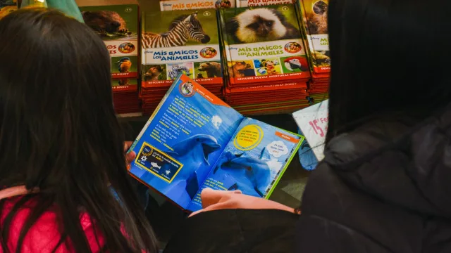 Vacaciones de invierno: la Agencia Córdoba Cultura suma feria del libro, teatro y magia para la familia