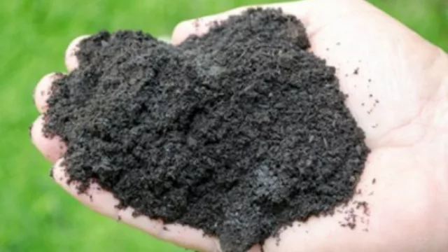 El compost de la basura recolectada en los domicilios de Mogi Mirim. Rico en nitrógeno y potasio. 