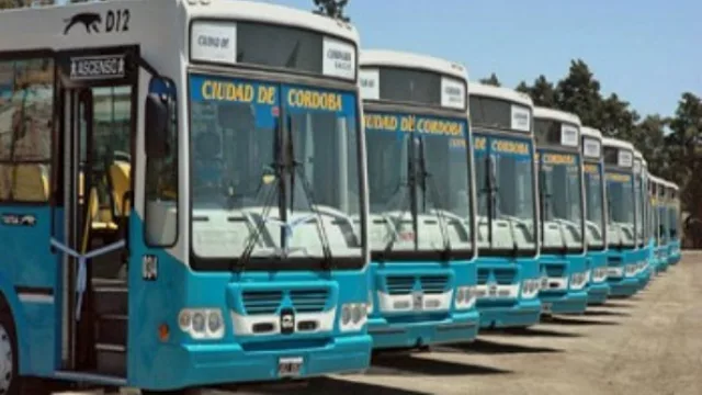 La foto del patrimonio de las empresas de transporte urbano de Córdoba (informe del FC)
