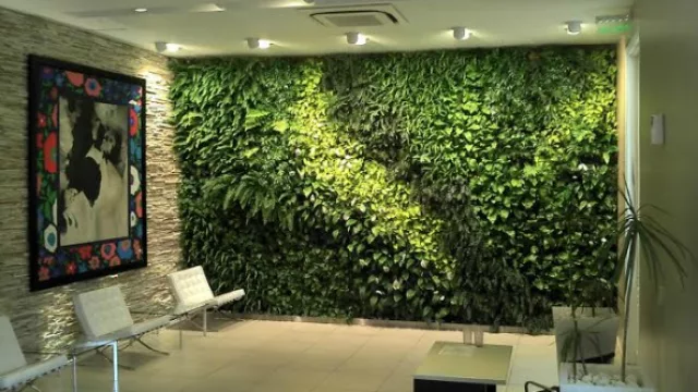 Paredes verdes en la oficina