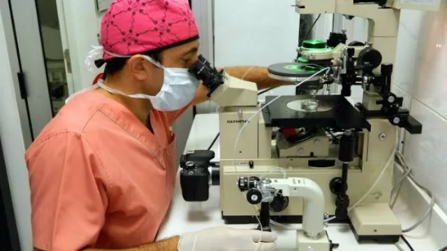 Una posición muy sólida contra la selección de embriones (¿son vida?)