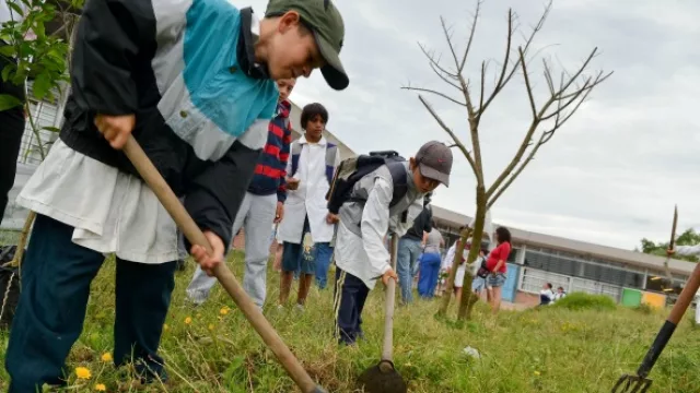 Presentan BioMalagueño (programa educativo de Aquavista y la ONG Churqui)
