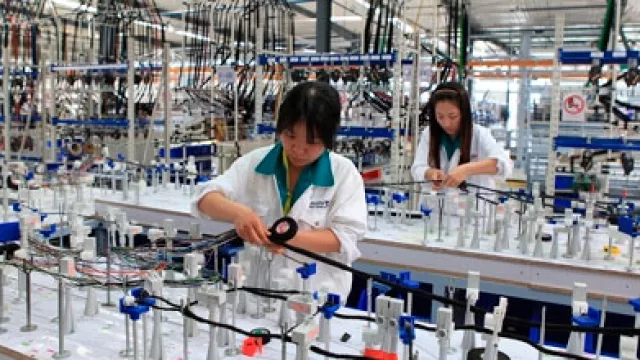 PY fabricará cables para marcas premium como Mercedes-Benz y Audi