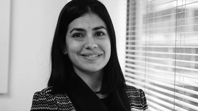 Mariel Salguero, consultora.