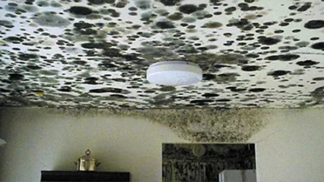 Además de bonita, una casa sana