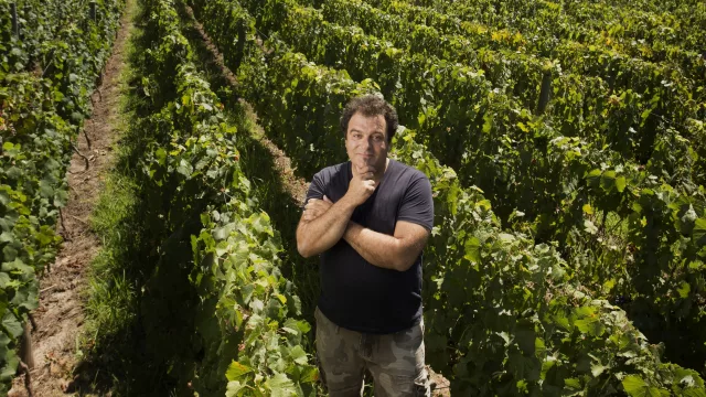 Llega a Córdoba “el Messi del vino” (qué trae Chachingo Wine Fair)