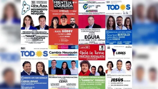 PASO 2021: Las particularidades de las primeras elecciones en pandemia en Neuquén 