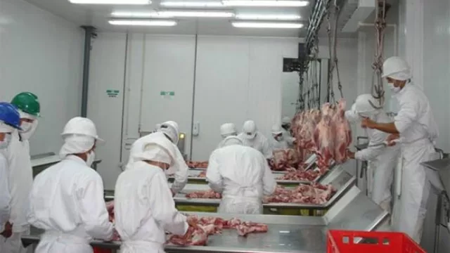 Empresa local realizó una importante inversión con miras a la exportación