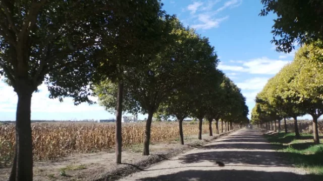 Un ingreso que va aclimatando al visitante hasta llegar al entorno de tranquilidad y silencio que ofrece el predio.