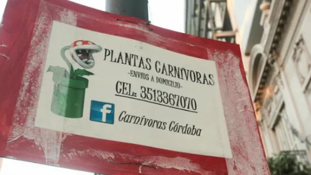 De plantas carnívoras y “esos raros negocios nuevos”