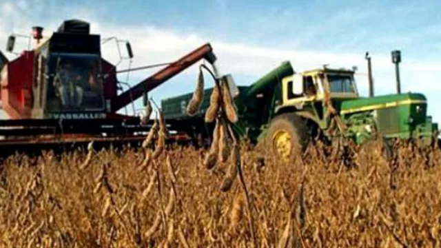 Argentinos, a las cosas (que mejor nos salen)