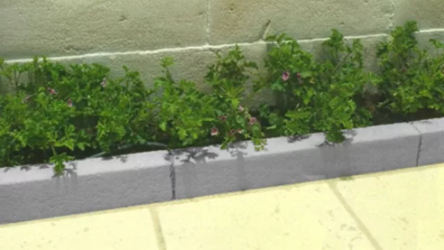 El cordón que quería ser de todo (¡y lo fue!)